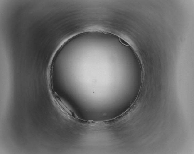 X0000111511008200907211159
