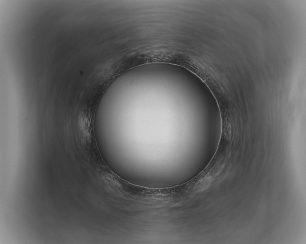 X0000111511010200907211158