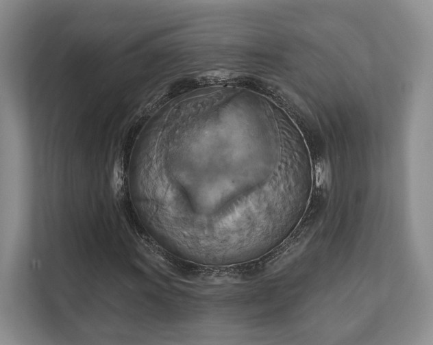X0000111511011200907211158