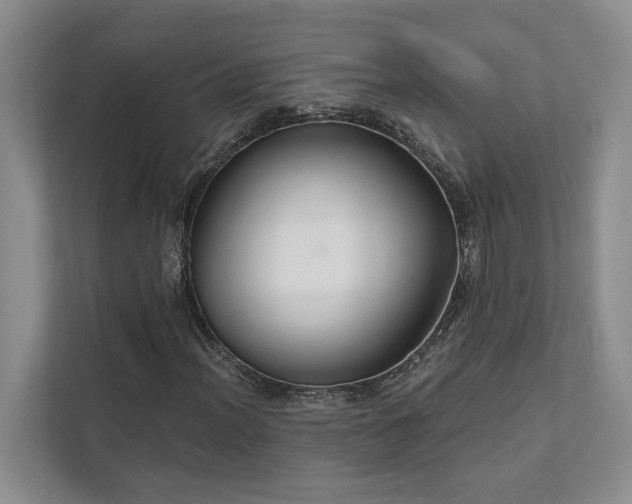 X0000111511012200907211158