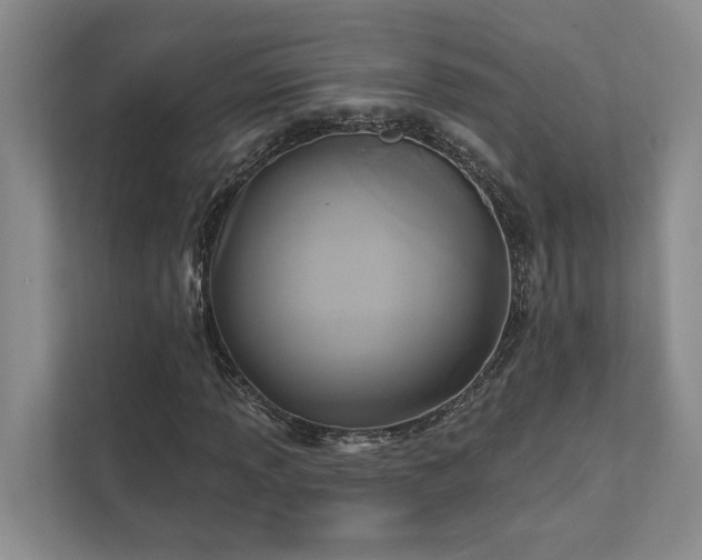 X0000111511013200907211158