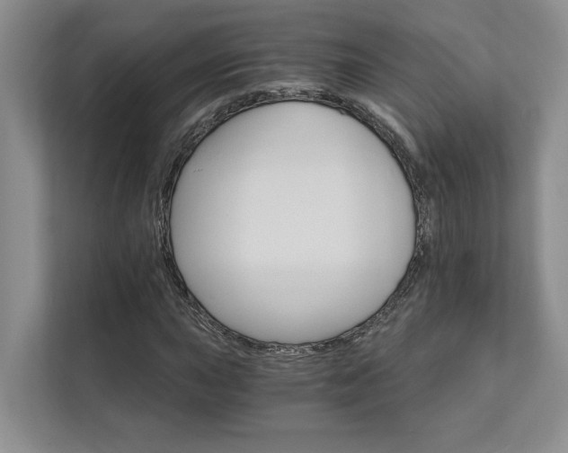 X0000111511015200907211158