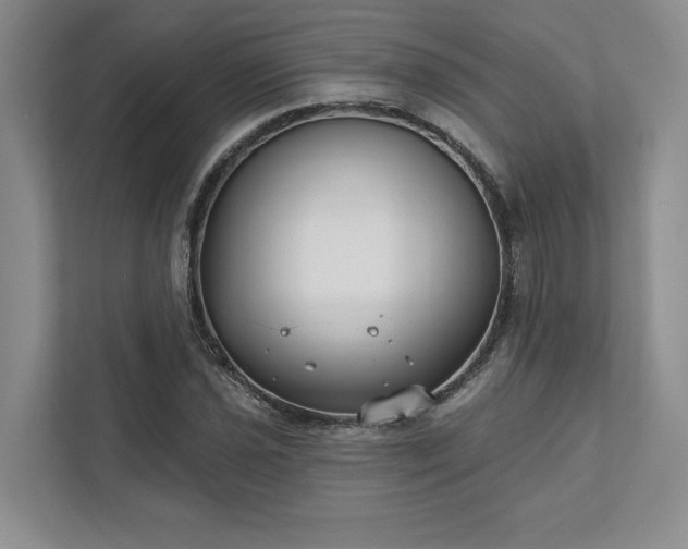 X0000111511021200907211159