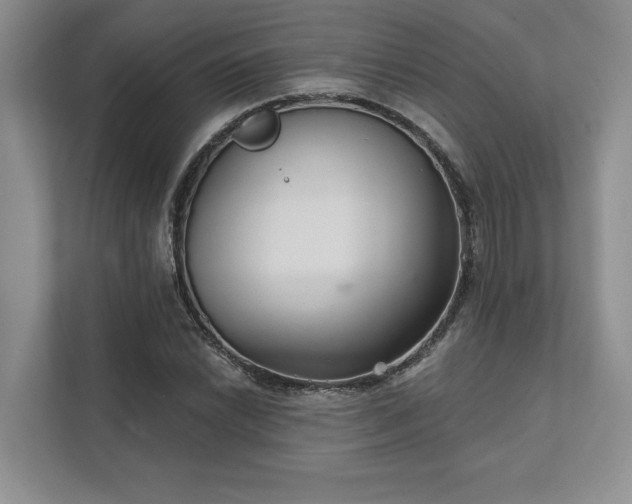 X0000111511022200907211159