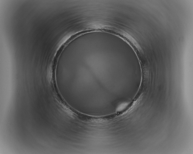 X0000111511023200907211159