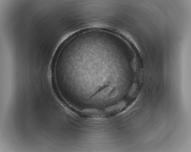 X0000111511024200907211159