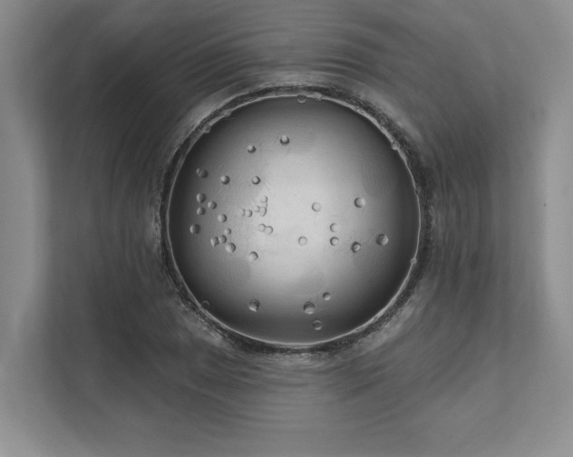 X0000111511025200907211159