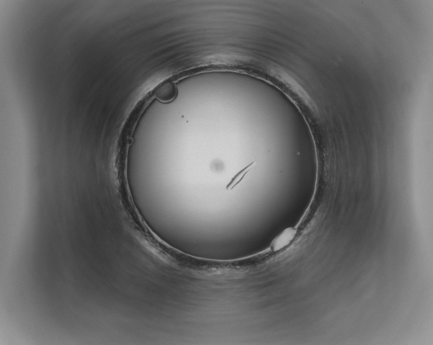 X0000111511026200907211159