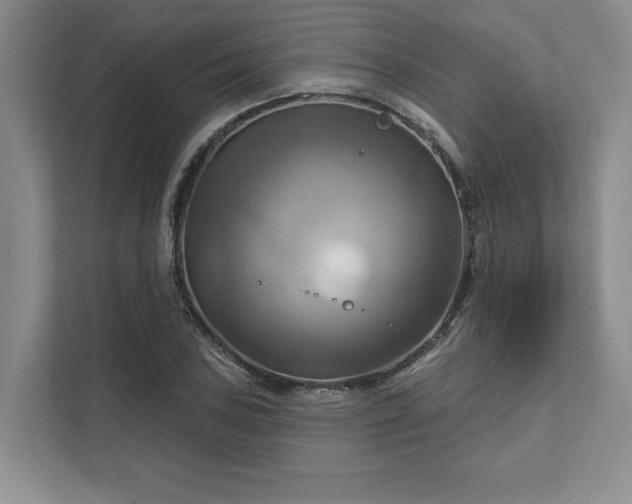 X0000111511027200907211159