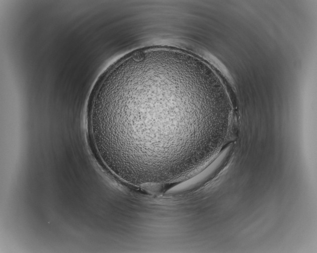 X0000111511028200907211159