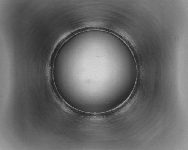 X0000111511029200907211159