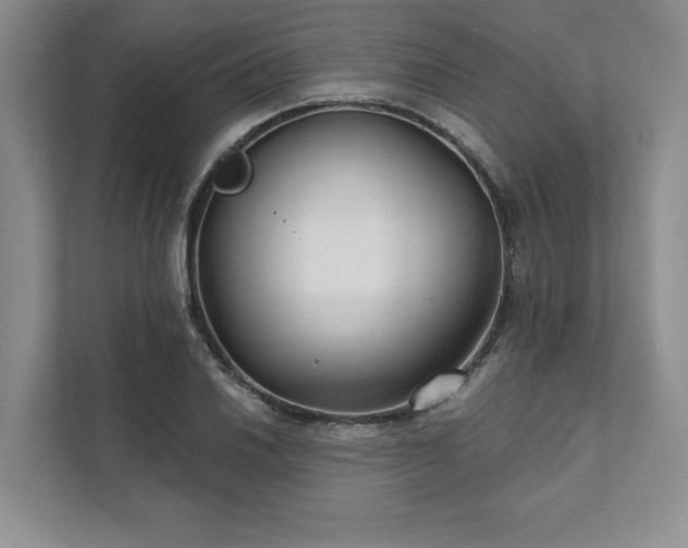X0000111511030200907211159
