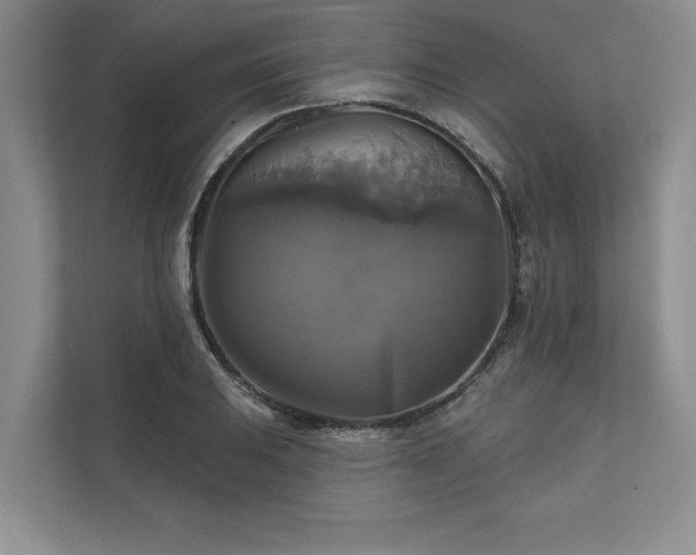X0000111511031200907211159