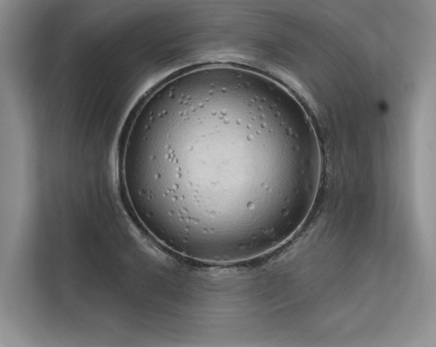X0000111511032200907211159