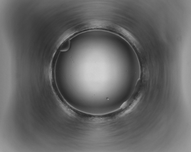 X0000111511034200907211159