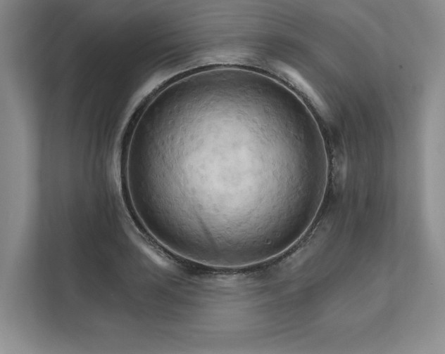 X0000111511035200907211159