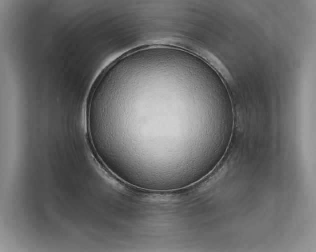 X0000111511036200907211159
