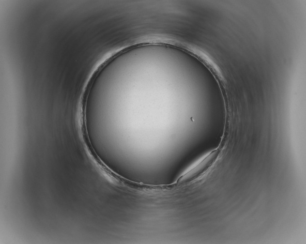 X0000111511040200907211159