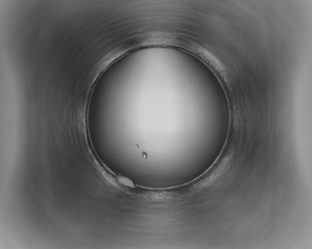 X0000111511041200907211159