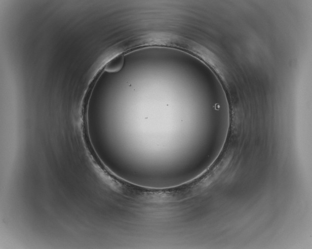 X0000111511042200907211159