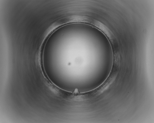 X0000111511043200907211159