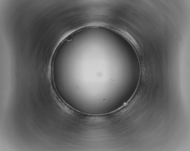 X0000111511044200907211159