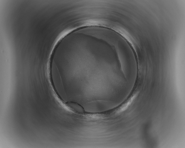 X0000111511045200907211159