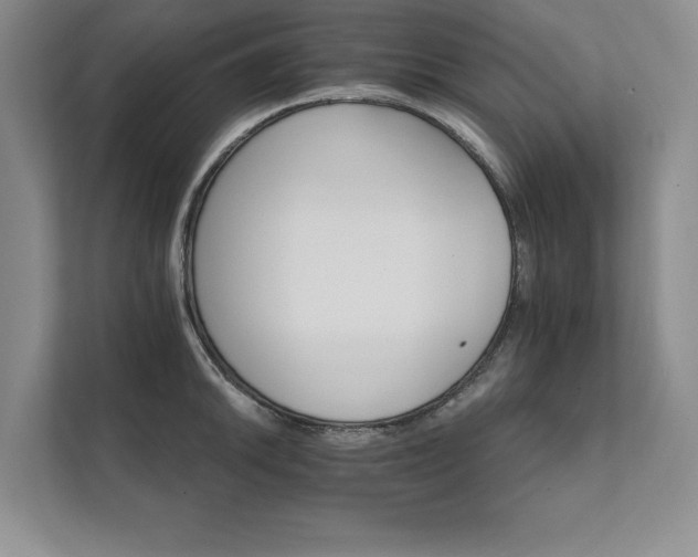 X0000111511046200907211159