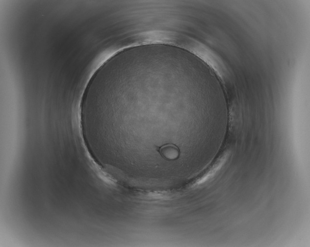 X0000111511047200907211159