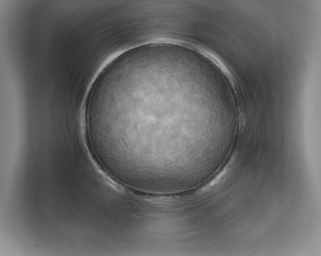 X0000111511048200907211159