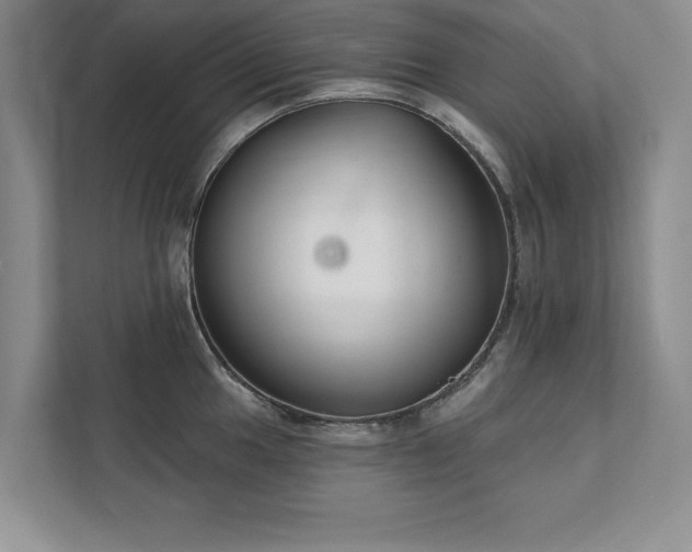 X0000111511049200907211159