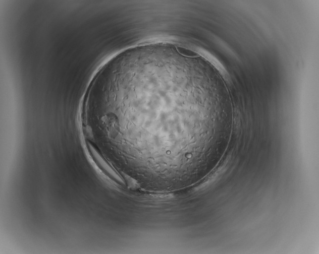 X0000111511055200907211159