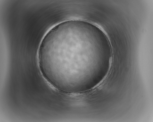 X0000111511056200907211159