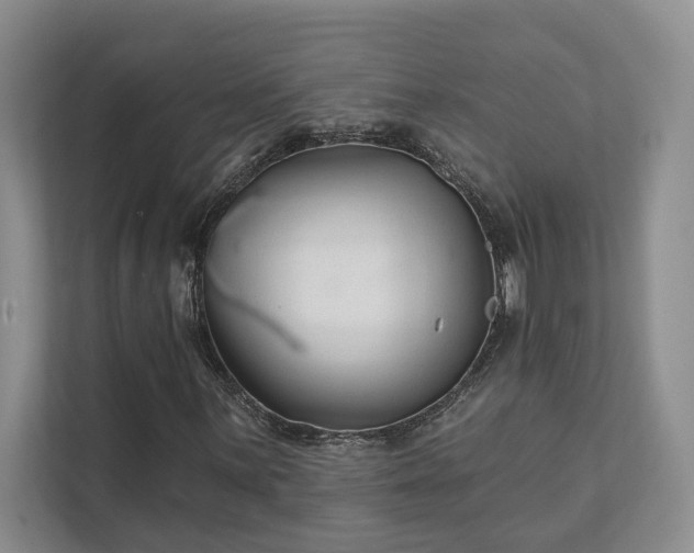 X0000111511059200907211158