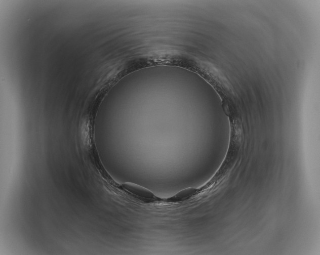 X0000111511060200907211158
