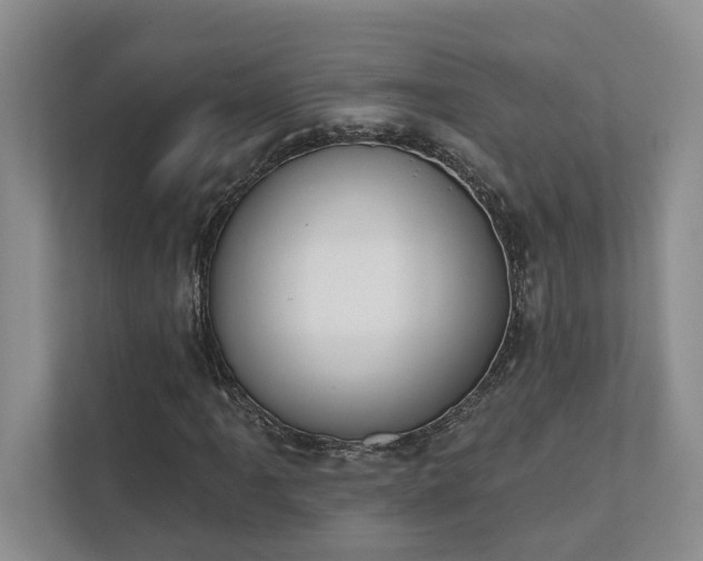 X0000111511061200907211158