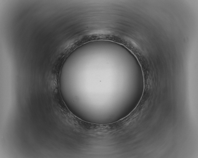 X0000111511062200907211158
