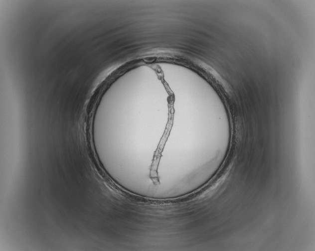 X0000111511066200907211158