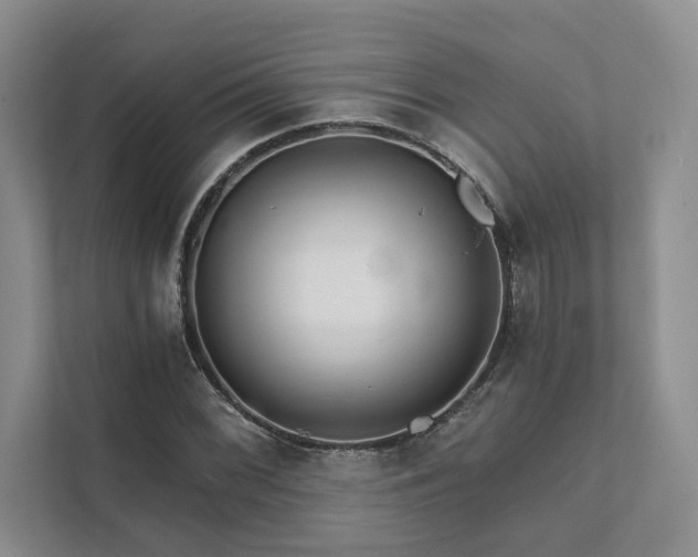 X0000111511068200907211158