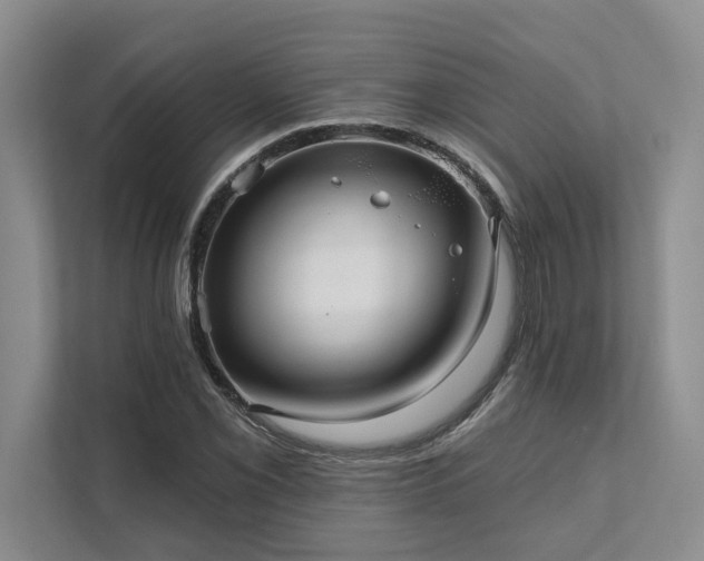 X0000111511069200907211158