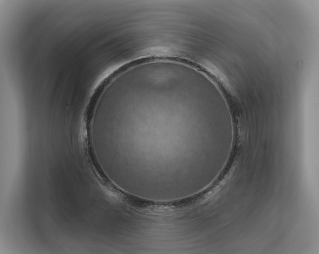 X0000111511070200907211158