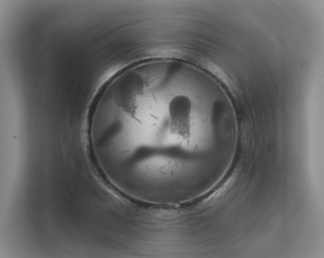 X0000111511071200907211158