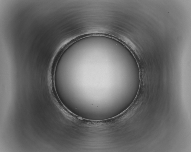 X0000111511072200907211158