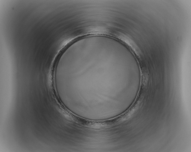 X0000111511074200907211158