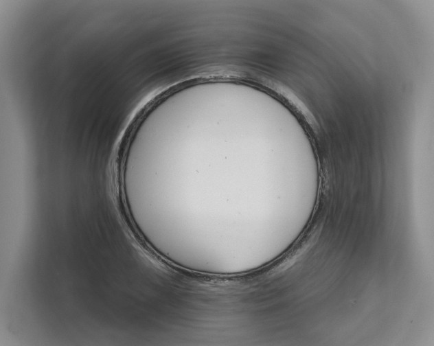 X0000111511075200907211158