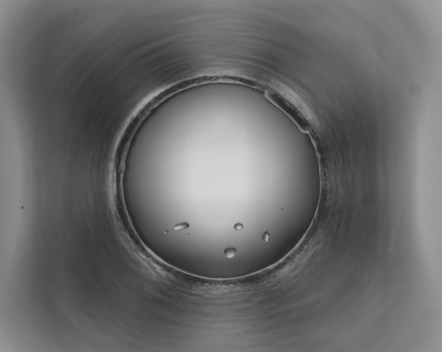 X0000111511076200907211158