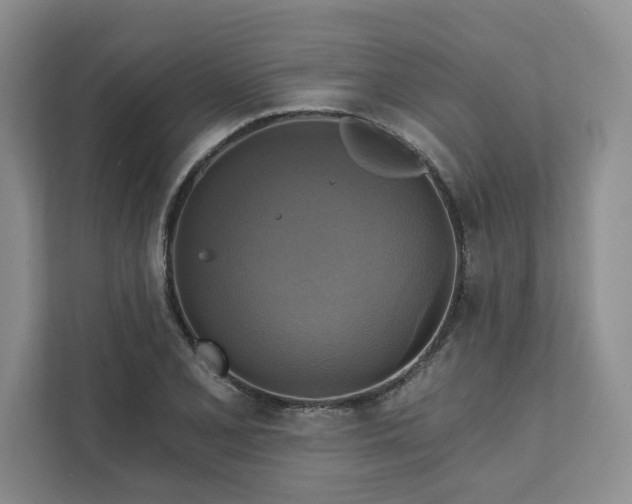 X0000111511077200907211158