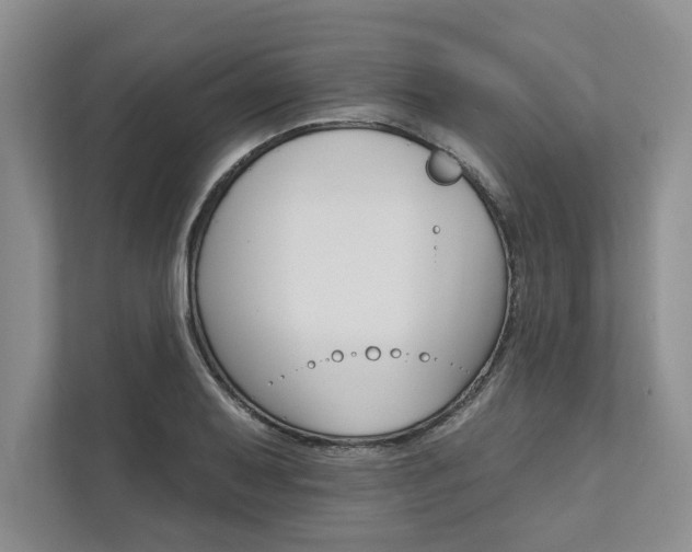 X0000111511079200907211158