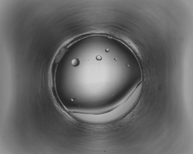 X0000111511080200907211158