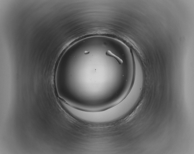X0000111511081200907211158